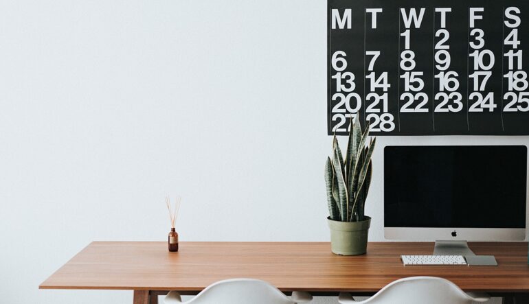 A monitor and a plant on a wooden desk